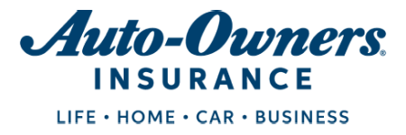 Auto Owners Insurance Agent